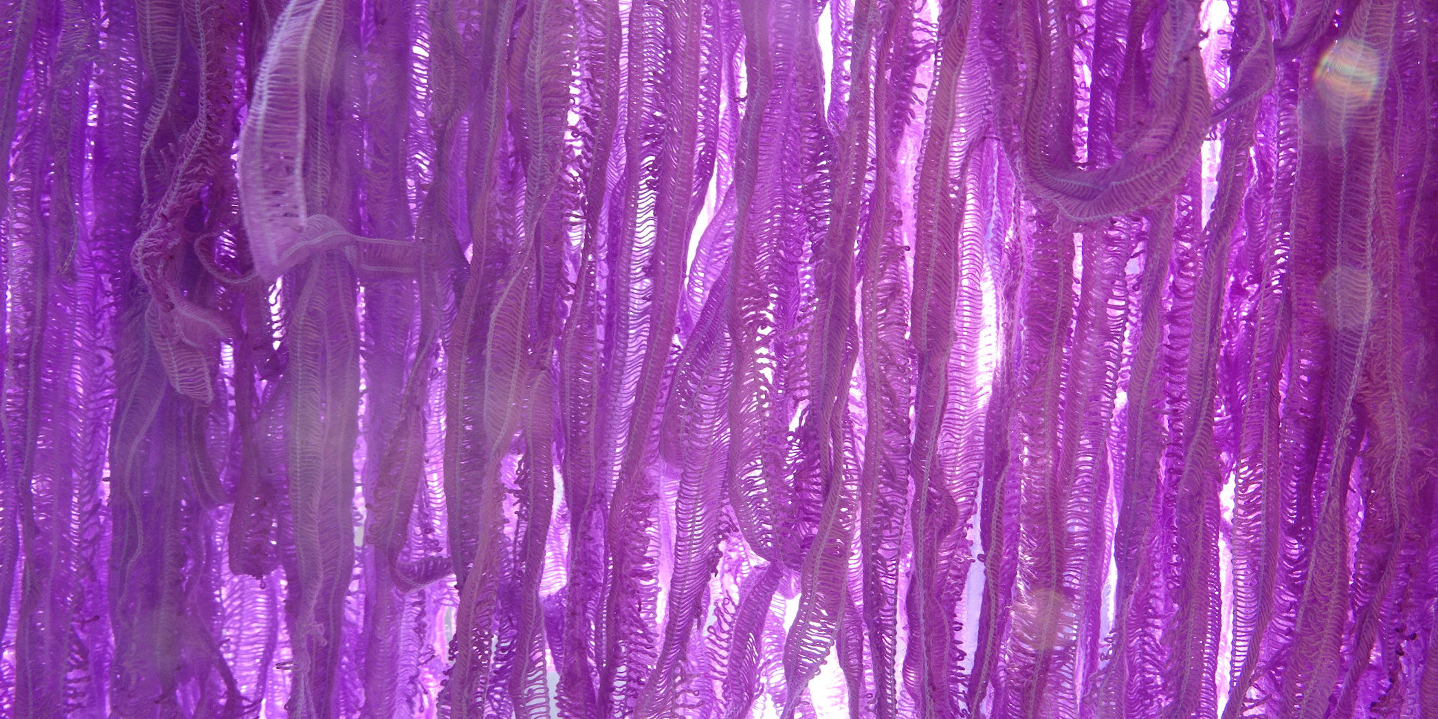 Bloganniversaire (2) Bloganniveraire Fils et Fantaisies