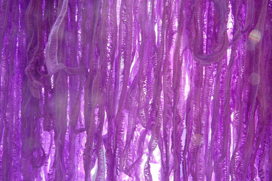 Bloganniveraire Fils et Fantaisies