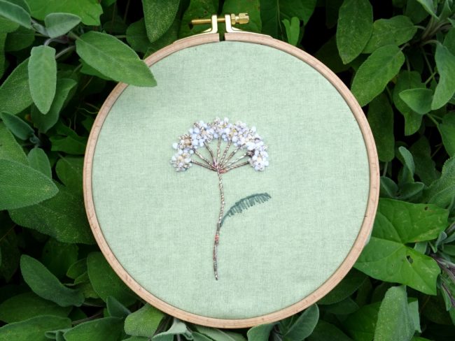 Nuance brodée 7 l’ombelle Nuance brodée #7