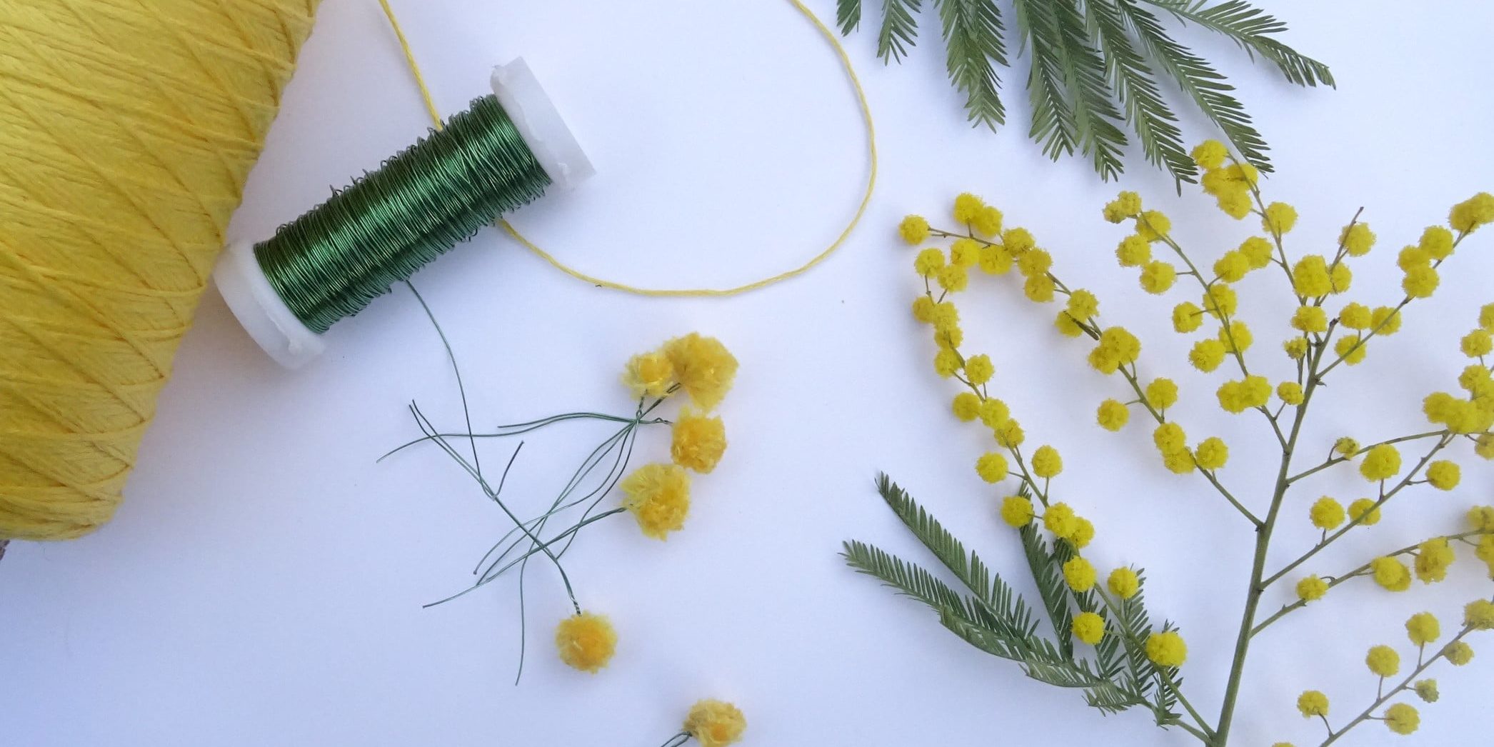 Défi Broder du mimosa Broder du mimosa: défi