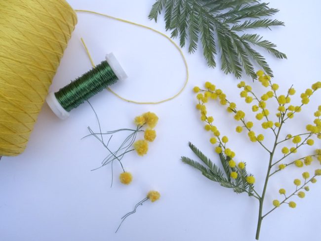 Broder du mimosa: défi