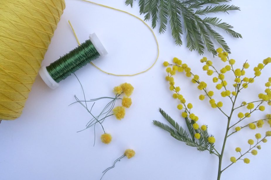 Broder du mimosa: défi