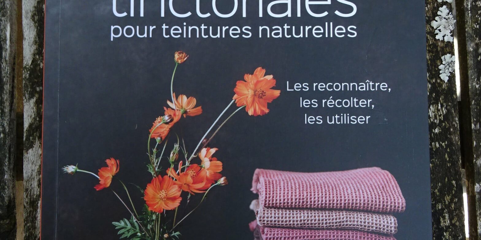 coup de cœur lecture