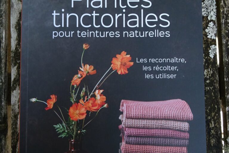 coup de cœur lecture